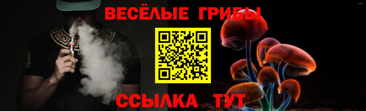 Галлюциногенные грибы Psilocybine cubensis  Вход с VPN  Старая Купавна 